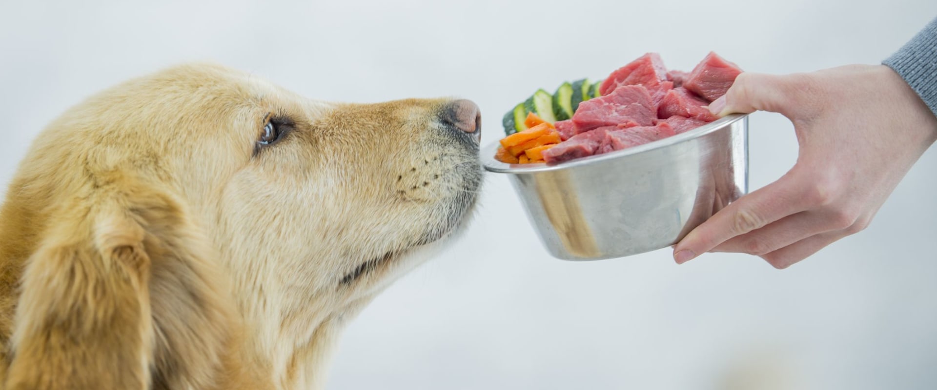 Is raw dog food actually raw?
