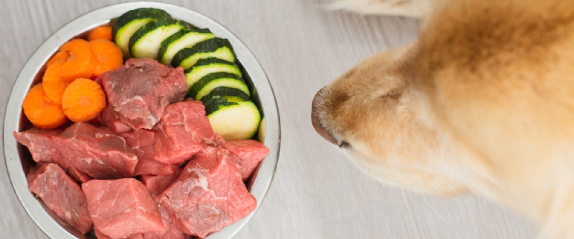 Is raw food actually good for dogs?