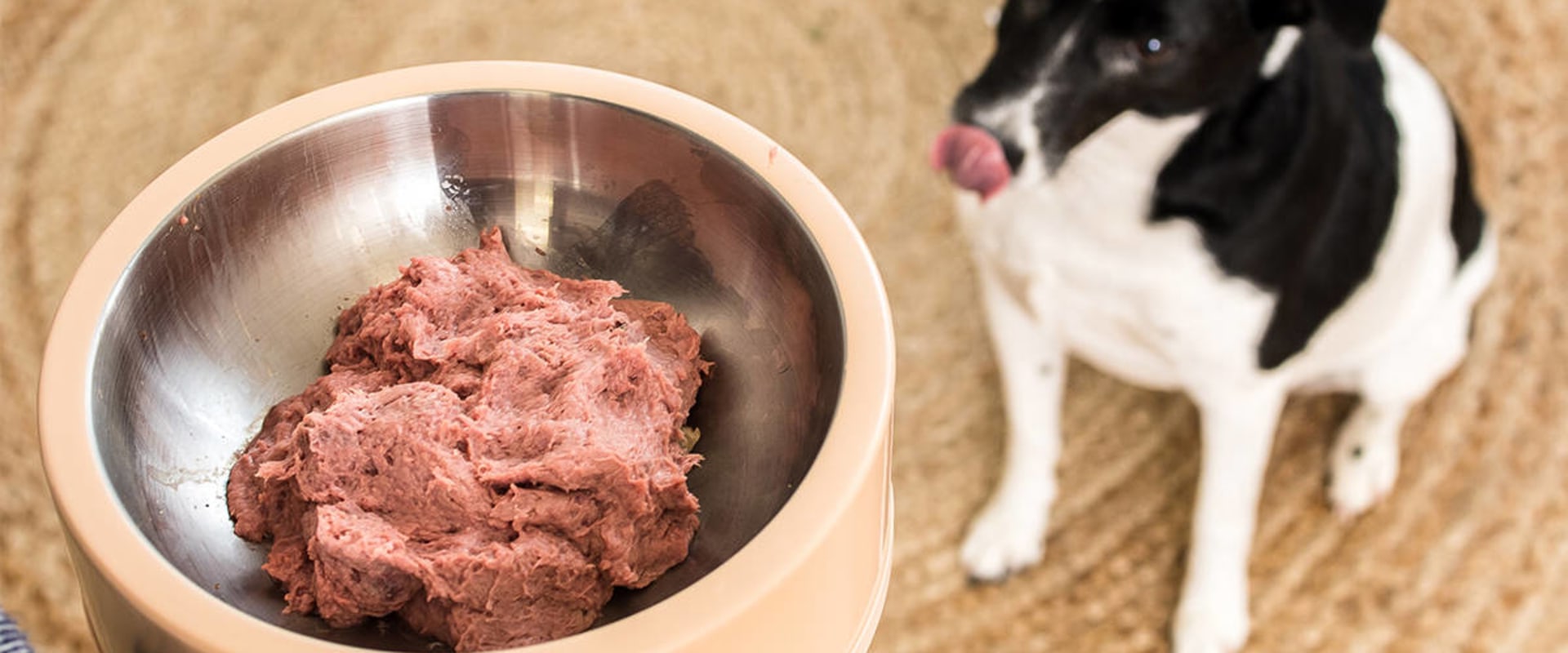 Where to store raw dog food?