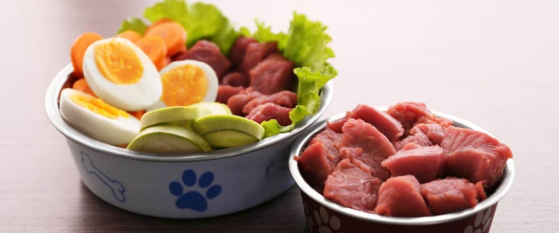 Is raw dog food best?