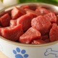 Which raw food is best for dogs?