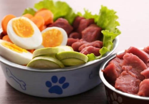 Why raw dog food is best?
